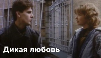Дикая любовь