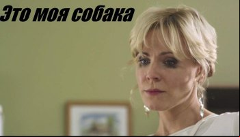 Это моя собака