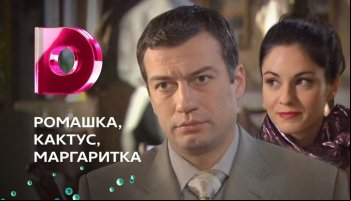 Ромашка, кактус, Маргаритка